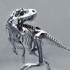 Dexsasaurus